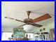 100-YR-OLD-GILDED-GOLD-ish-BROWN-HUNTER-ANTIQUE-ELECTRIC-52-CEILING-FAN-CARVED-01-bn