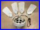 Antique-1920s-30s-Westinghouse-Electric-Ceiling-Fan-Baby-Blue-36-w-Light-USA-01-waiy