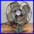 Antique-A-G-Redmond-Co-Desk-Fan-WORKS-Art-Deco-Turquoise-RARE-10-4-Blade-01-gpcc