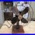 Rare-Antique-Robbin-s-Myers-Wall-Mount-electric-Fan-Working-01-el